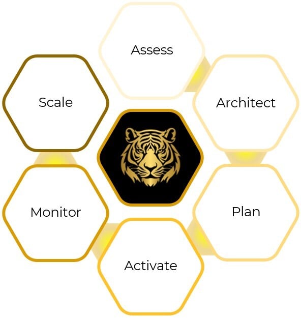 SAVY Solutions Group Process SAVY Solutions Group Process